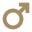 Varicocele Icon