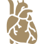 Aortic Aneurysm Icon