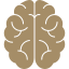 Stroke & Brain Icon